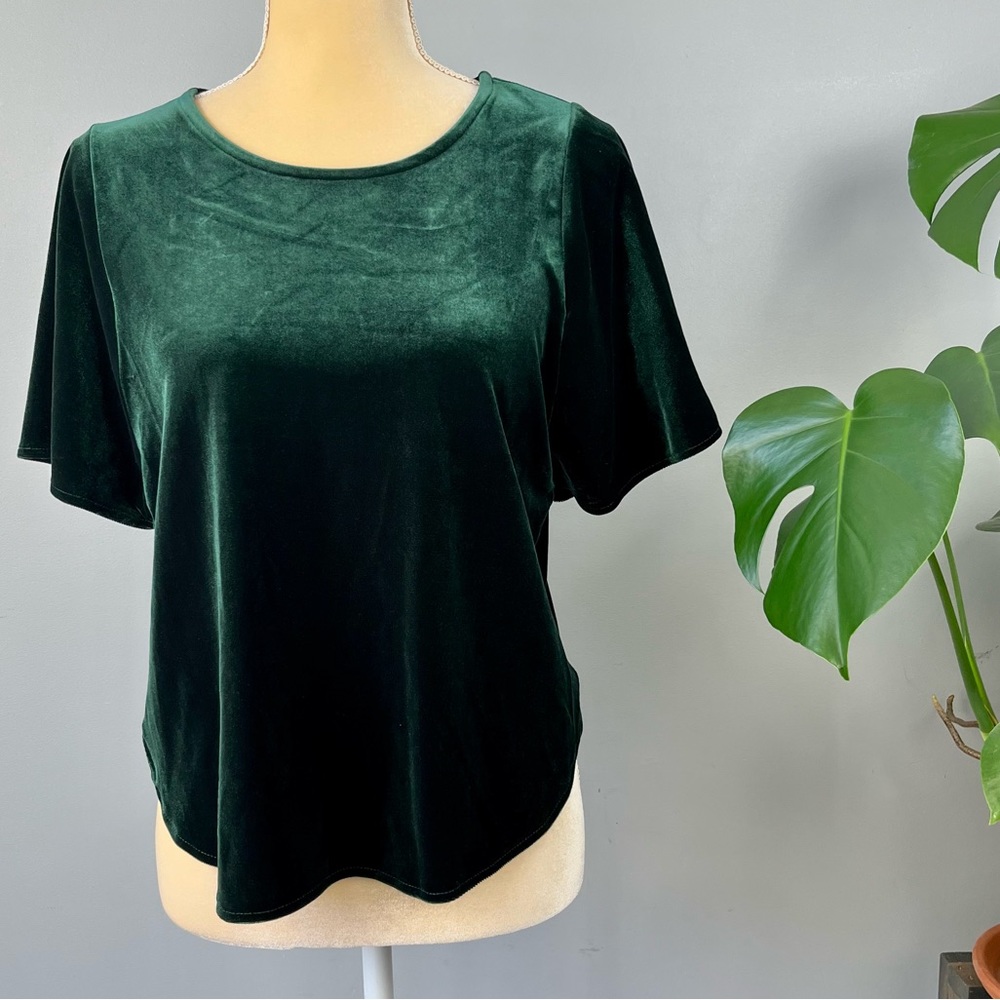 Madewell Green Velvet Butterfly Top